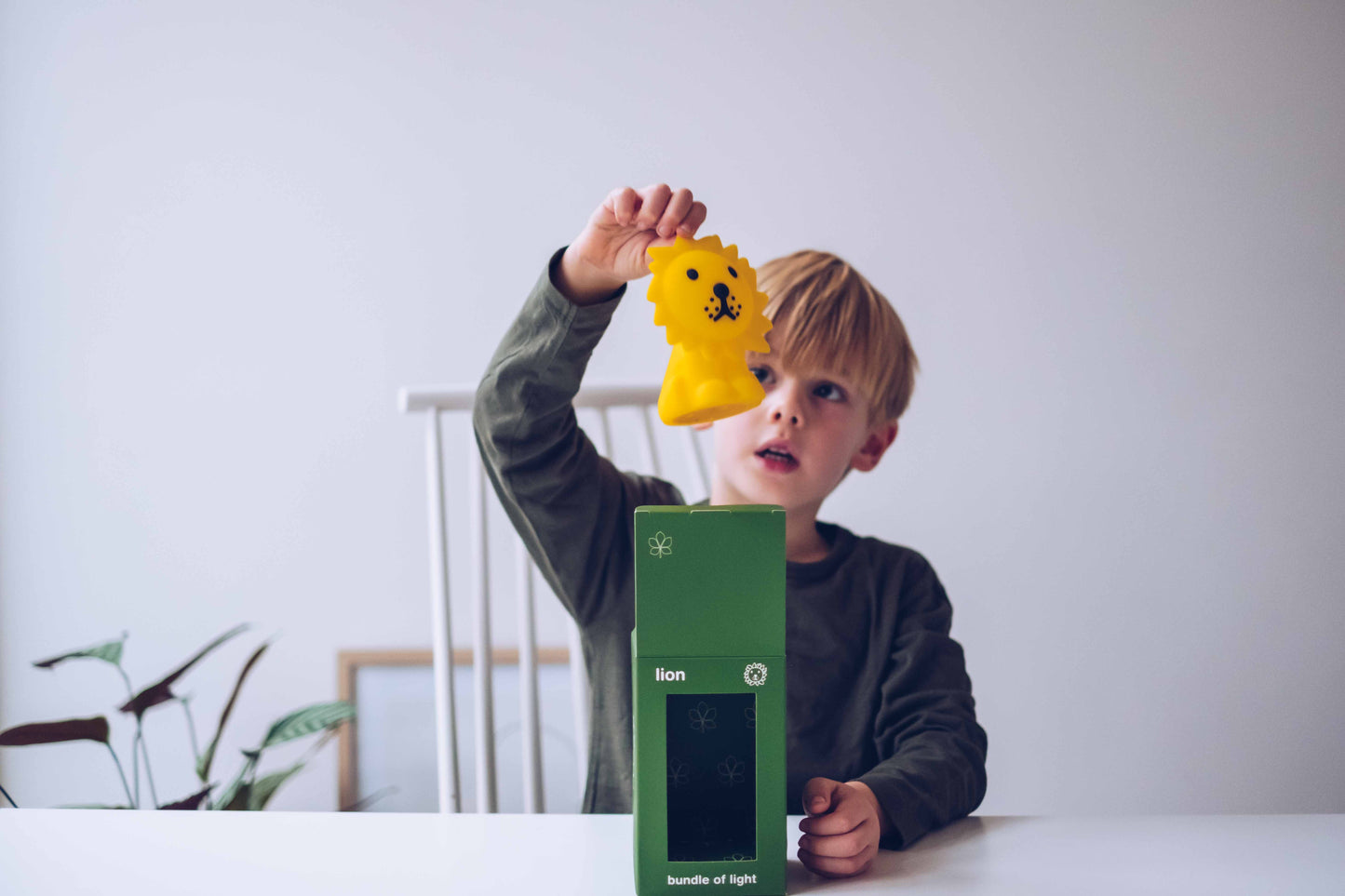 Lion Bundle Of Light