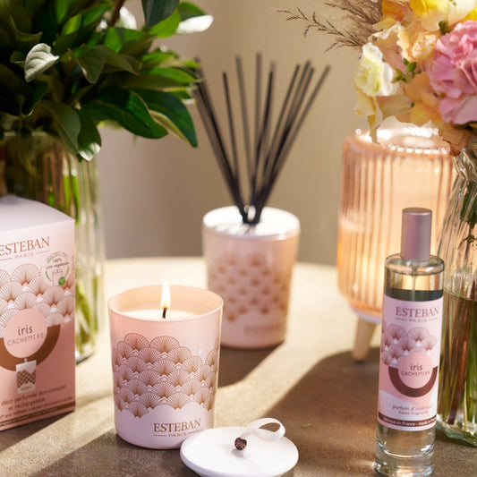 Decorative Reed Diffuser - Iris Cachemire