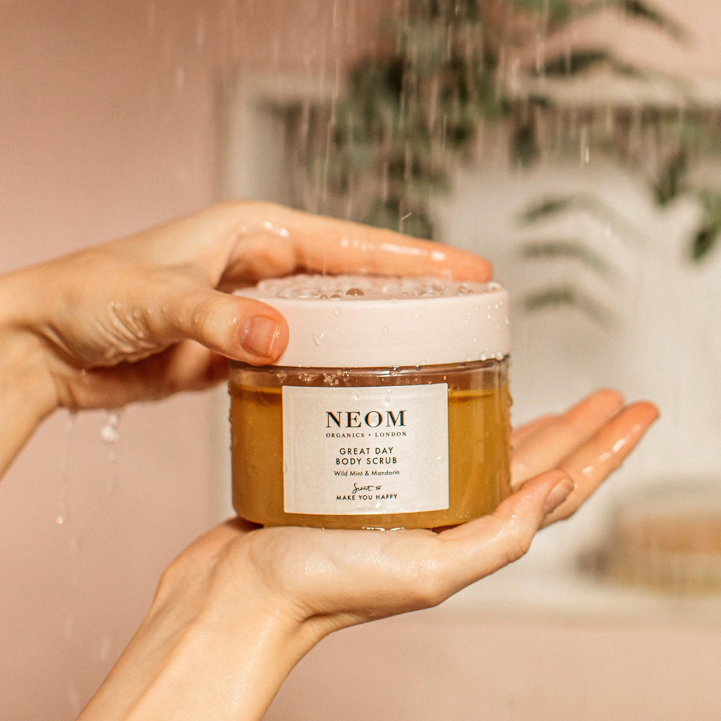 Great Day Body Scrub