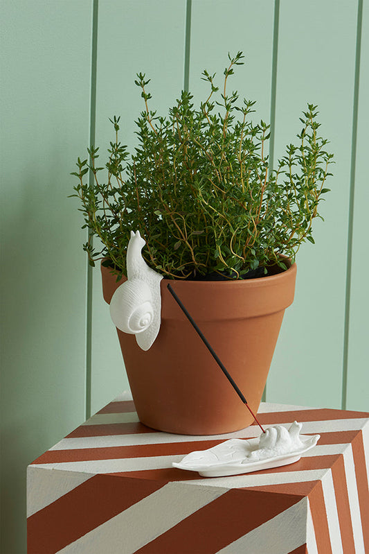 Snail incense holder