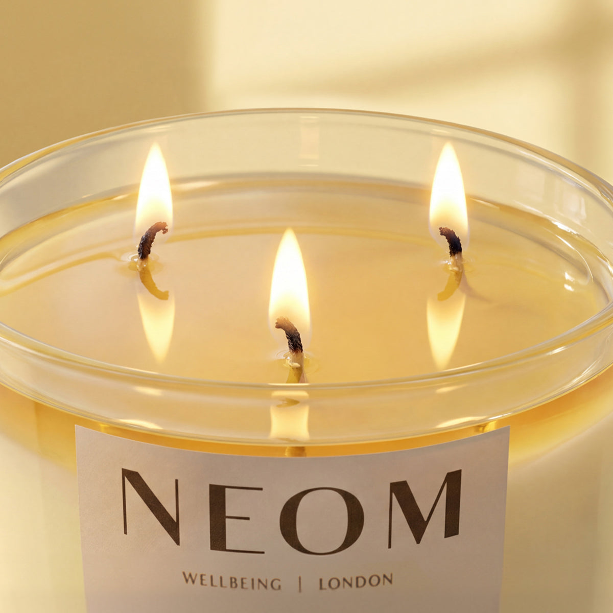 Happiness Scented Candle