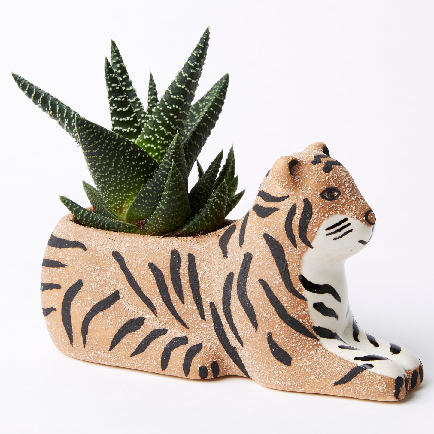 Bengal Tiger Planter