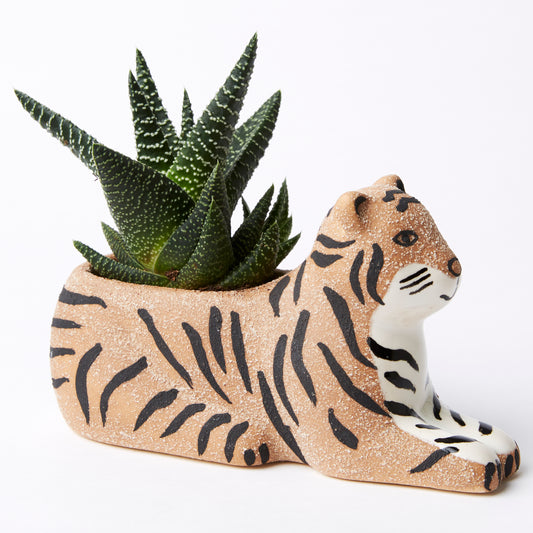 Bengal Tiger Planter