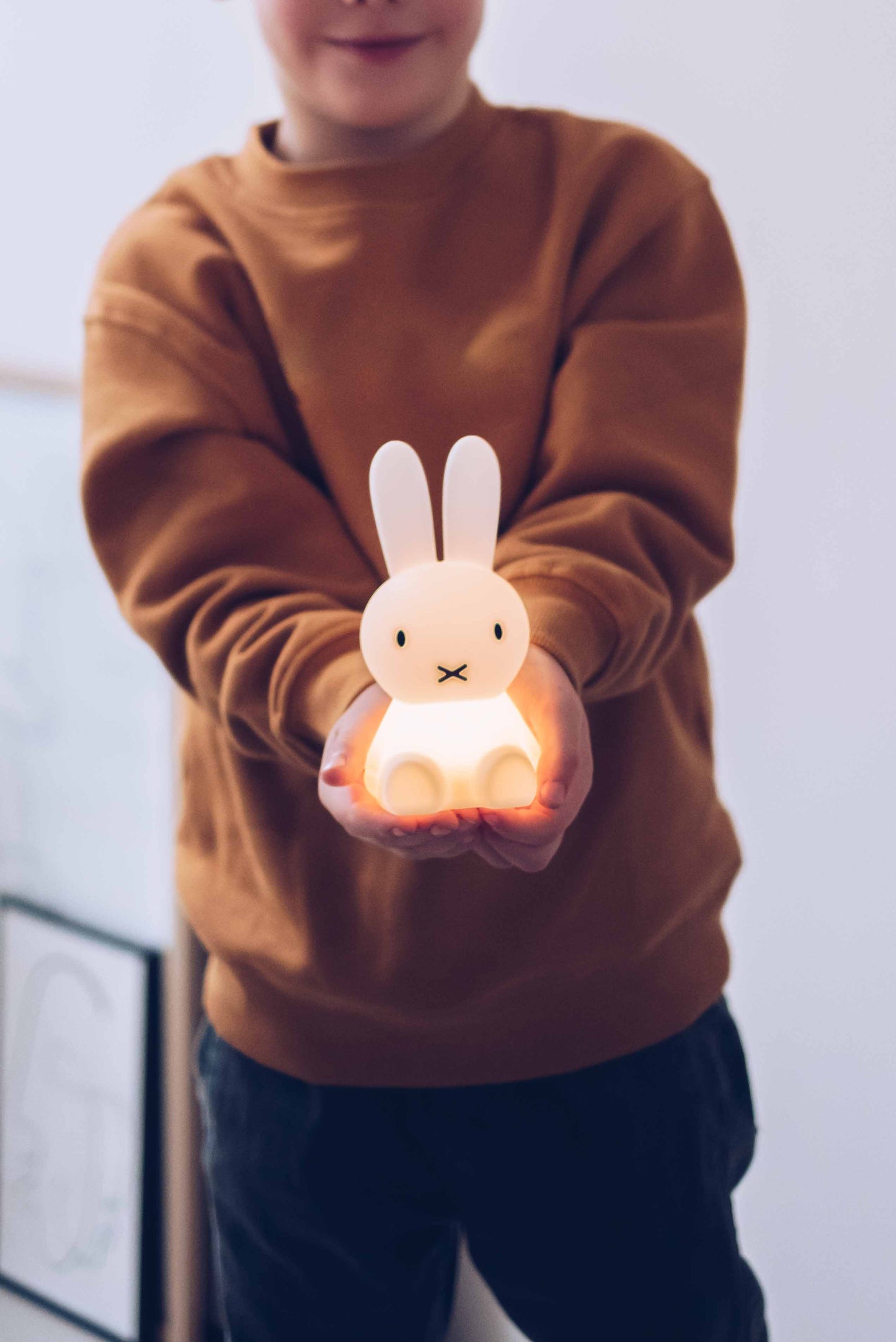 Miffy Bundle Of Light