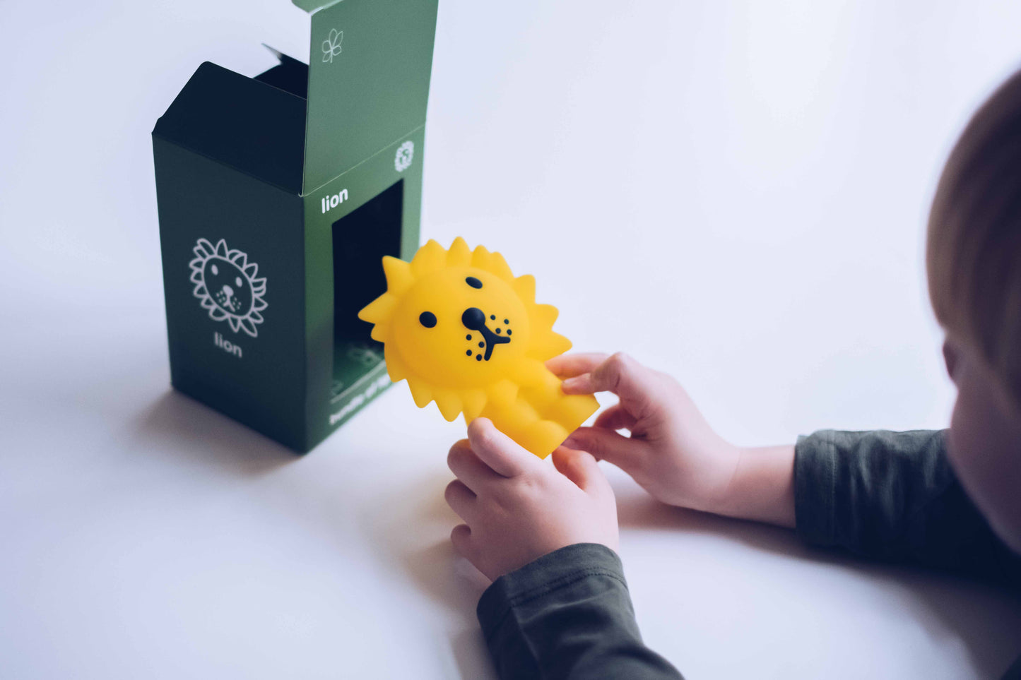 Lion Bundle Of Light