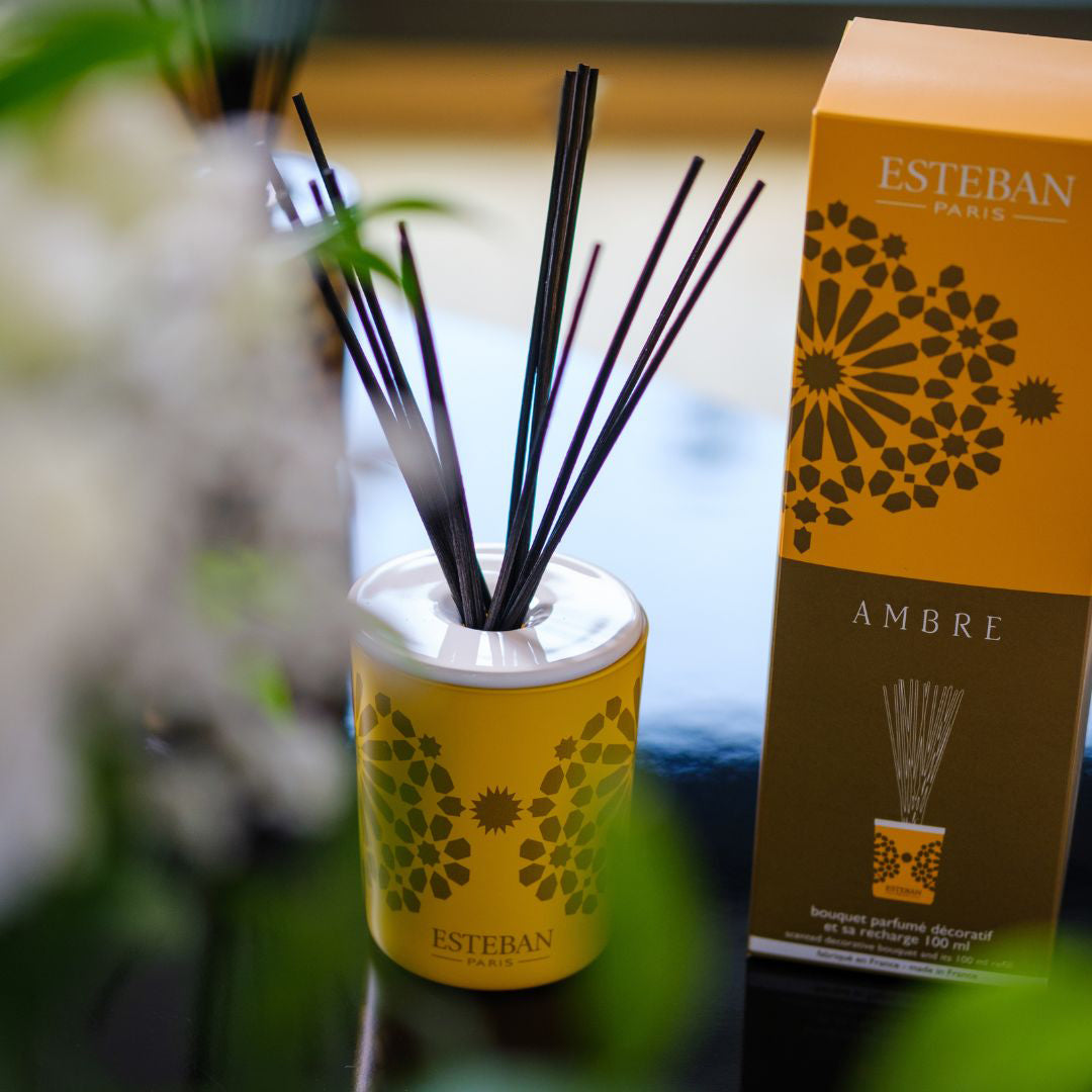 Decorative Reed Diffuser - Ambre