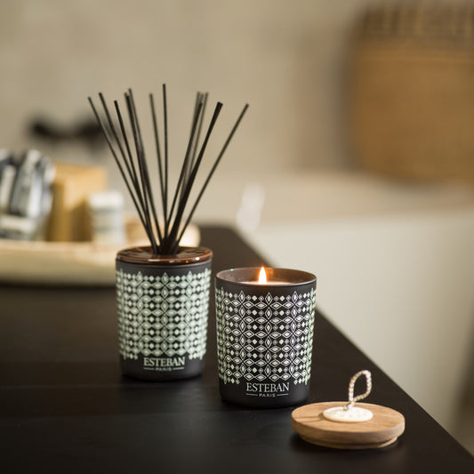 Decorative Reed Diffuser - Teck and Tonka