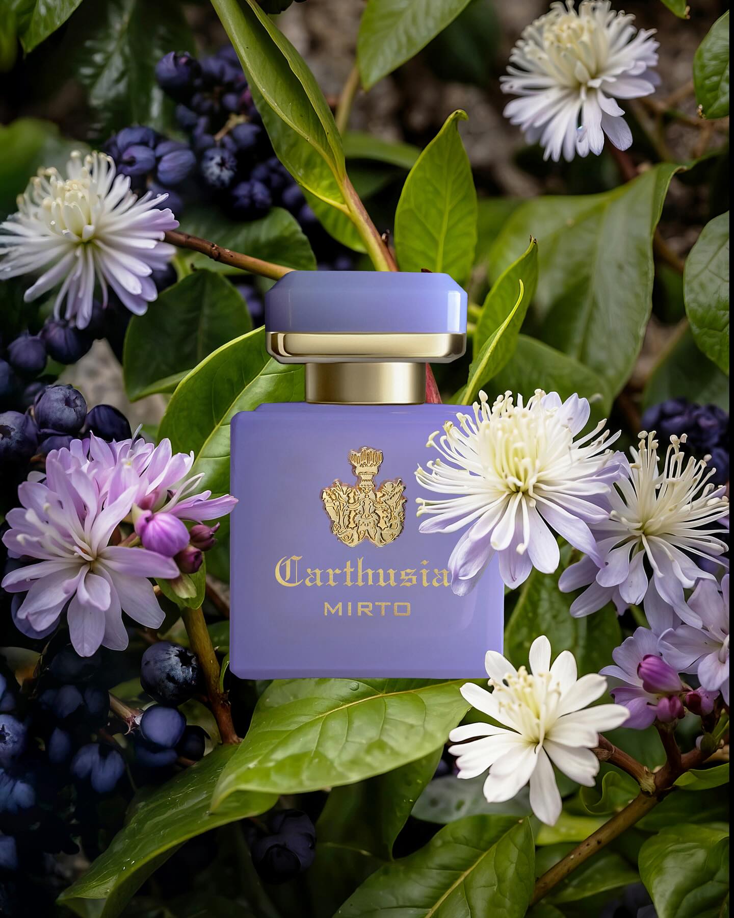 Intenso di Mirto - Perfume 50ml