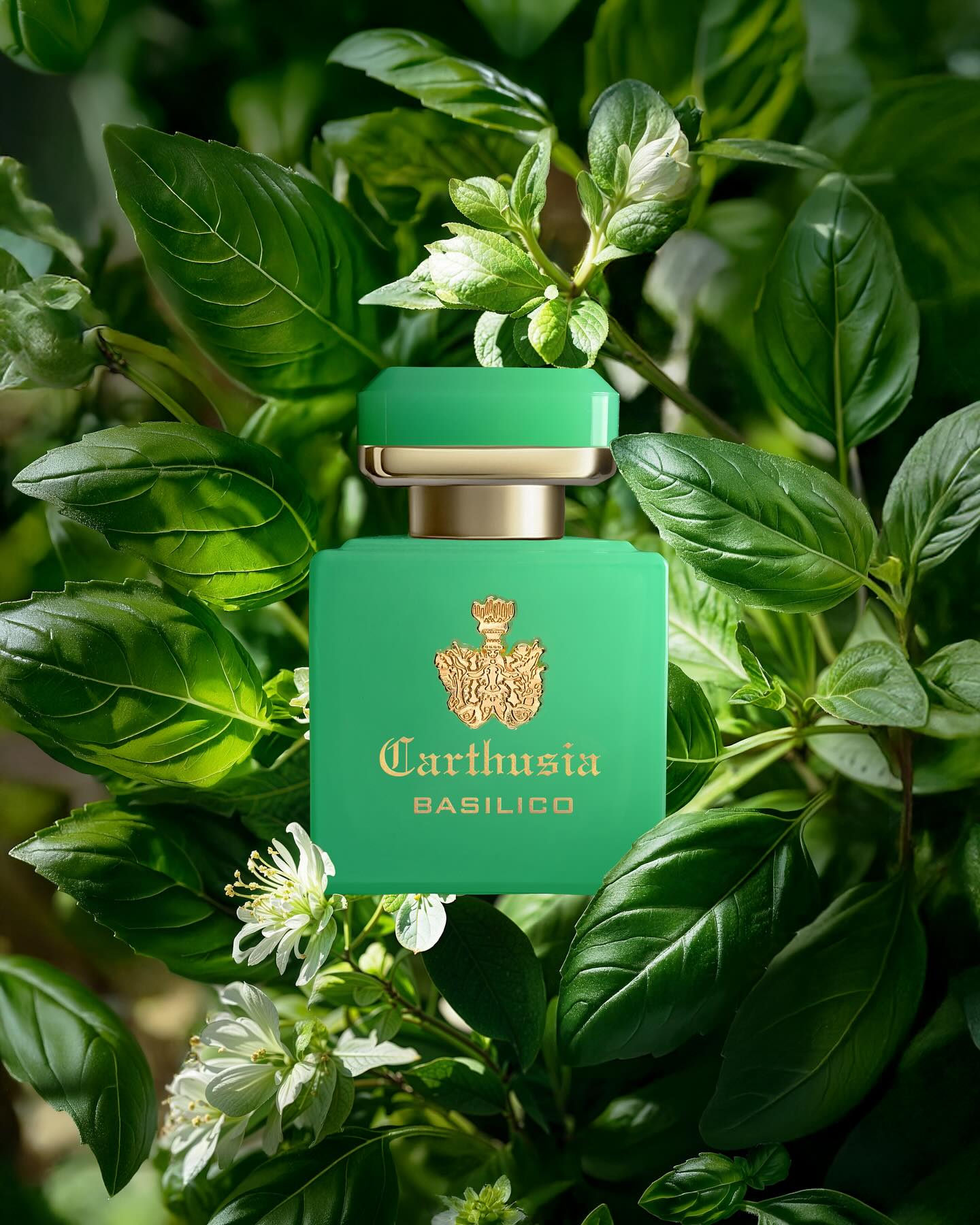 Intenso di Basilico - Perfume 50ml