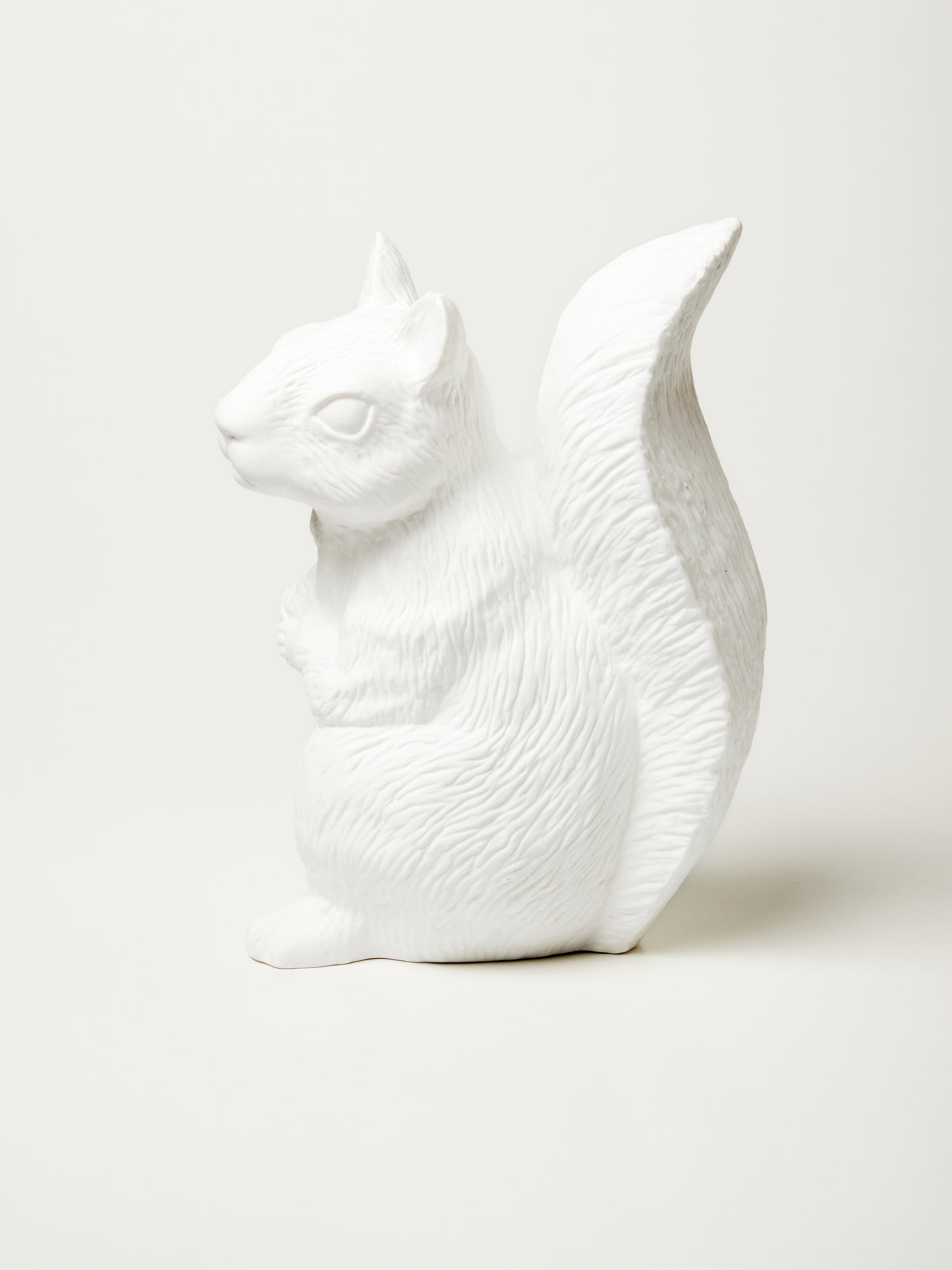 Squirrel Money Box