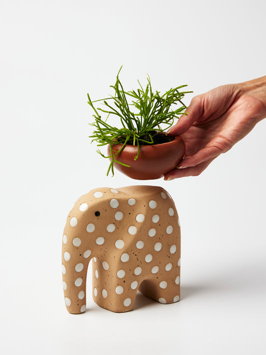 Ingrid the Elephant planter