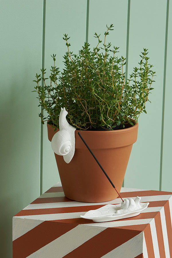 Snail incense holder
