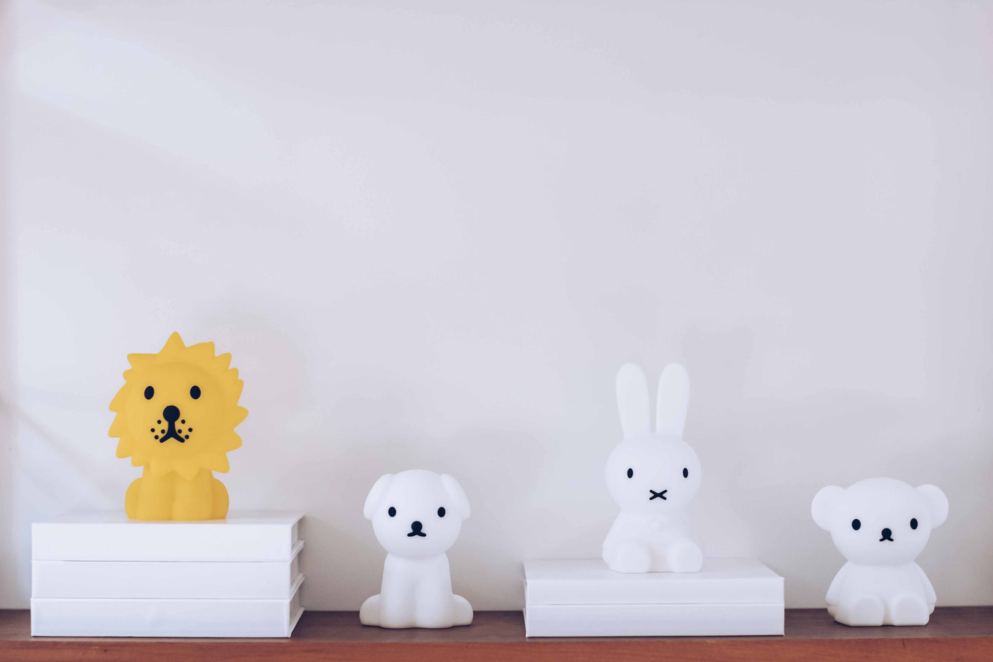 Lion Bundle Of Light