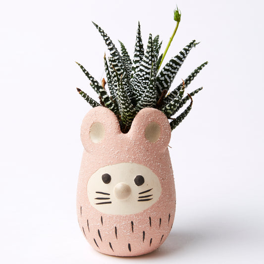 Stewart Mouse Planter