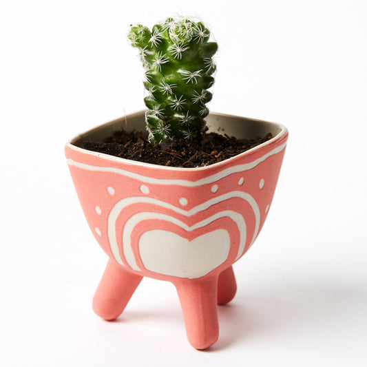 Pocket Planter - Raspberry
